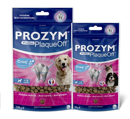 découvrez Prozym Plaq'off pour votre chien